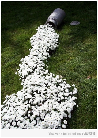 Illustration for article titled 20 Inspiring Flower Planters That Will Bring The Magic Into Your Garden